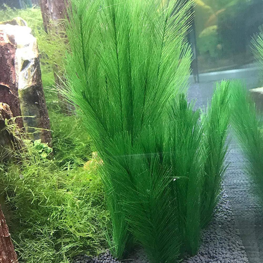 1/3Pcs 28/40cm Aquarium Fish T - огляд і ціна Live Plant Aquarium