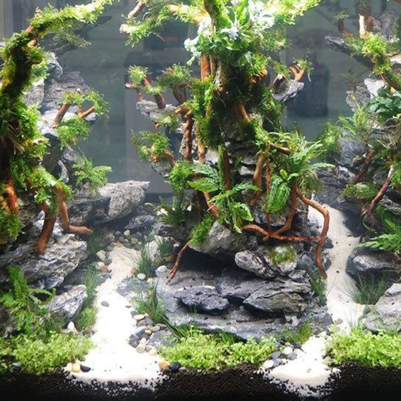 Natural Driftwood Root Trunk T - огляд і ціна Aquarium Driftwood