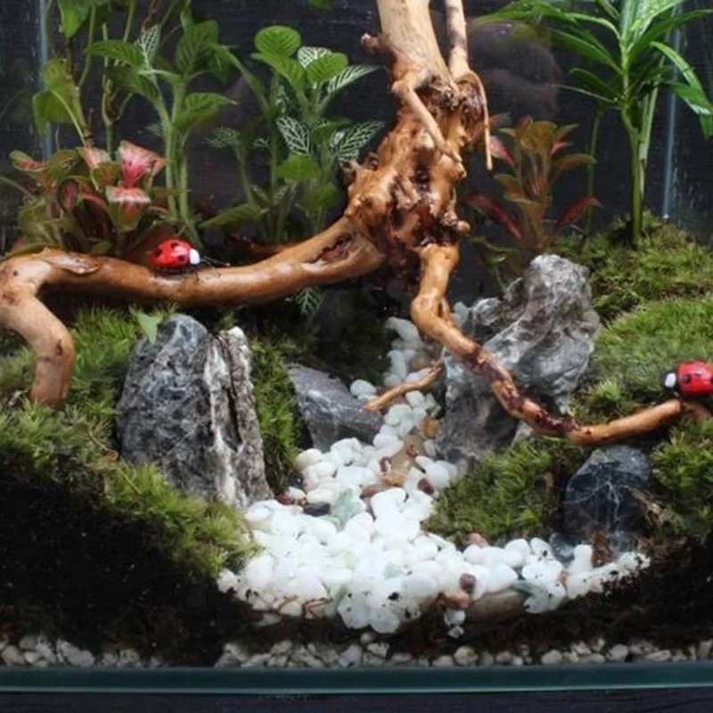 Natural Tree Trunk Driftwood A - огляд і ціна Aquarium Plant Substrate