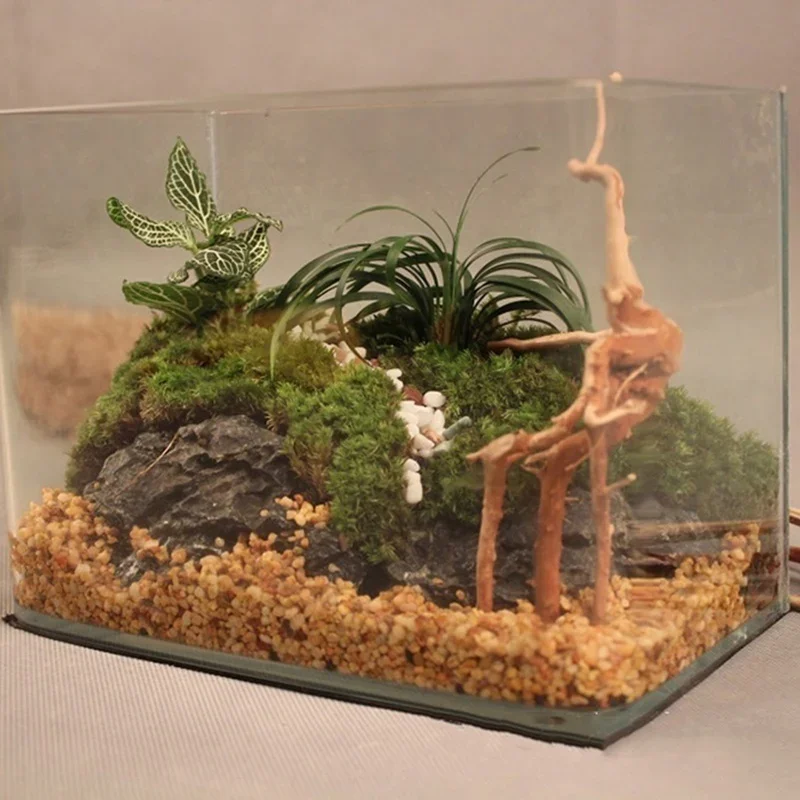 Natural Tree Trunk Driftwood A - огляд і ціна Aquarium Plant Substrate