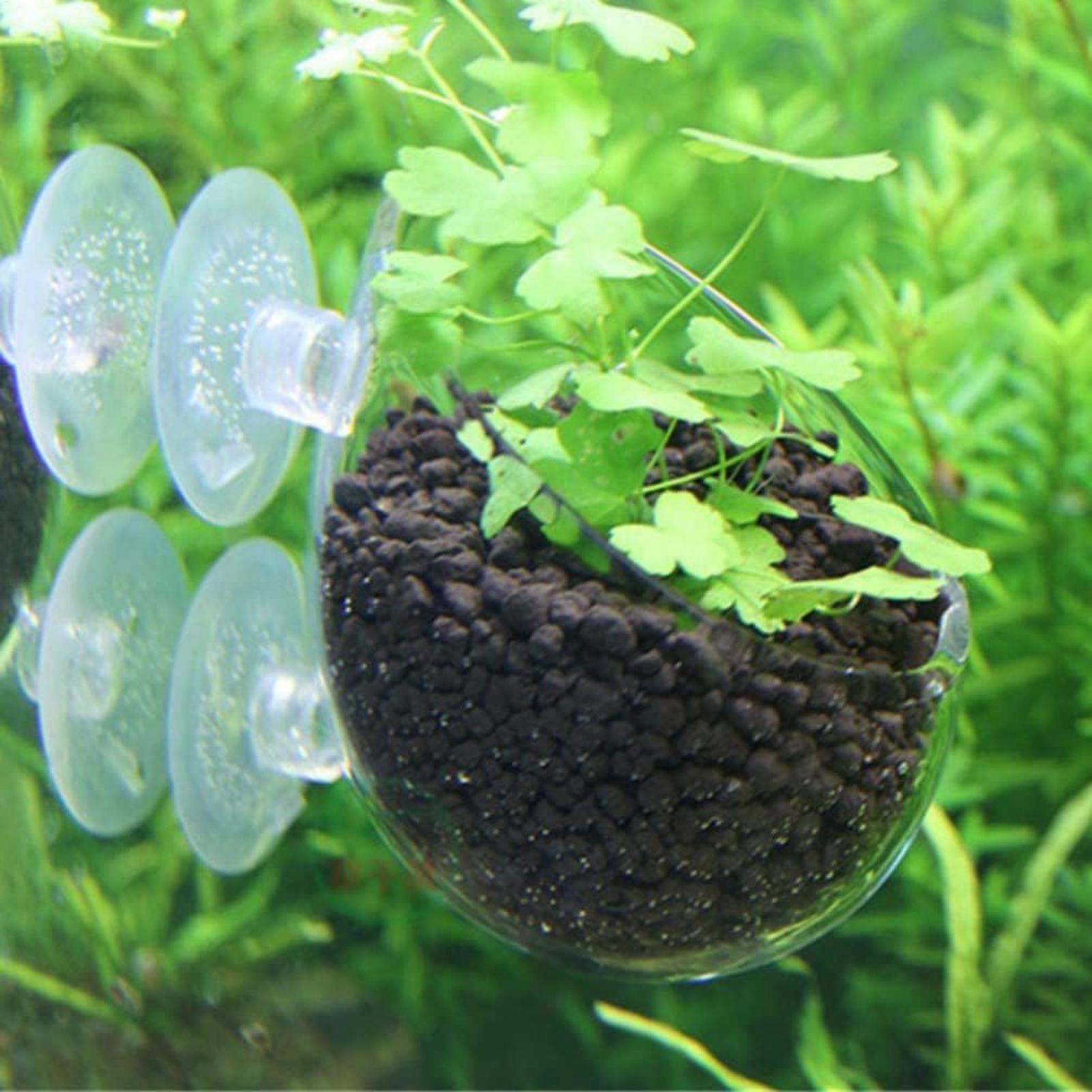 Aquarium Plant Holder Glass Aq - огляд і ціна Live Plant Aquarium