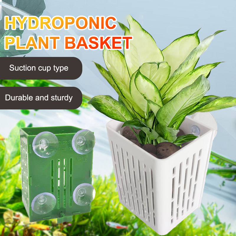 Hanging Suction Cup Hook Aquar - огляд і ціна Plant Aquarium Pot