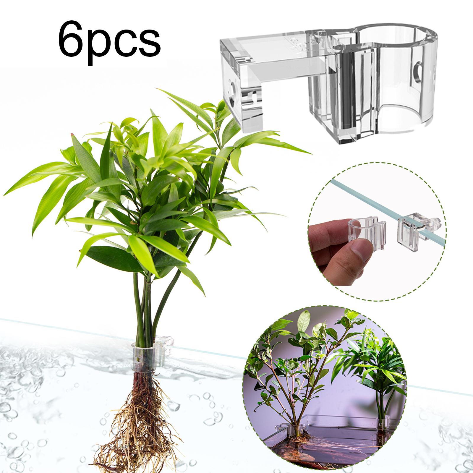 6Pcs Aquarium Plant Holder Sup - огляд і ціна Aquarium Fertilizer