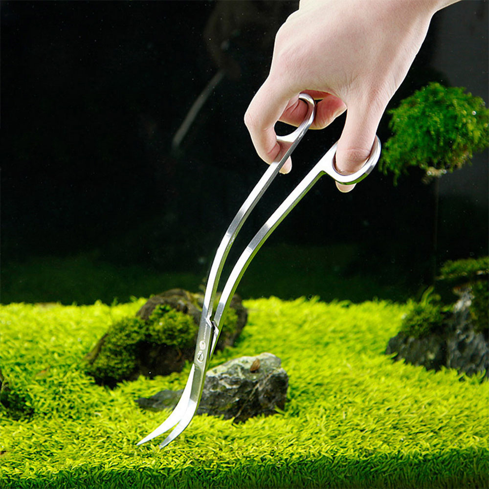 Aquarium Accessories Hard Stai - огляд і ціна Planted Aquarium Cleaning