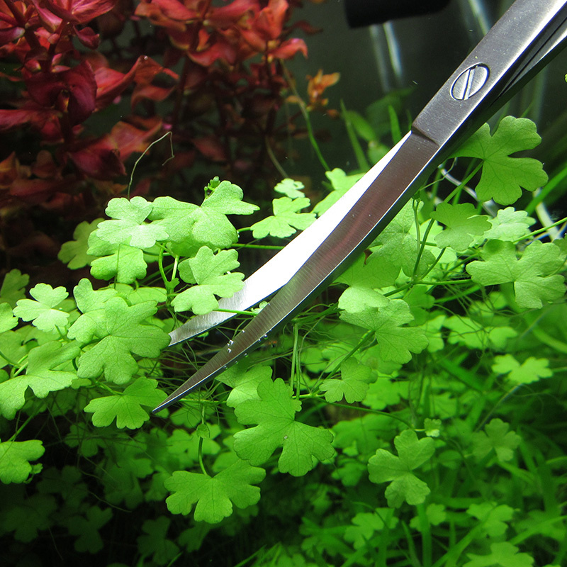 Aquarium Accessories Hard Stai - огляд і ціна Planted Aquarium Cleaning