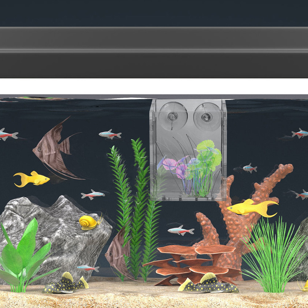 3Pcs Aquarium Plant Holder Cle - огляд і ціна Plant Aquarium Pot