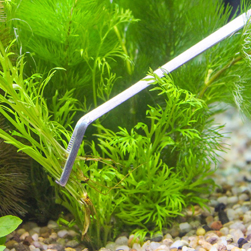 Professional Aquarium Maintena - огляд і ціна Live Plant Aquarium