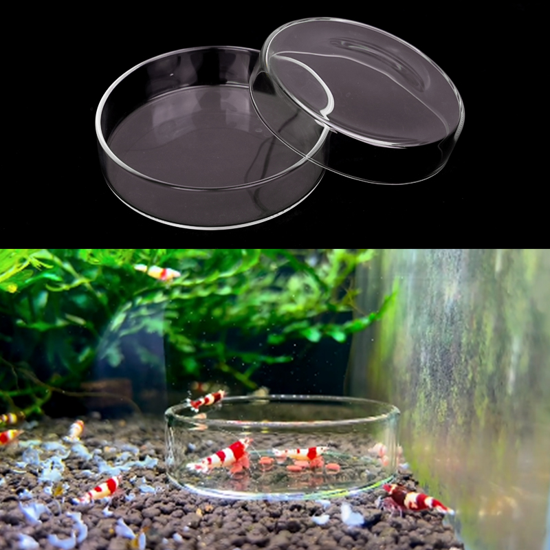Shrimp Feeding Dish High Trans - огляд і ціна Aquarium Fertilizer