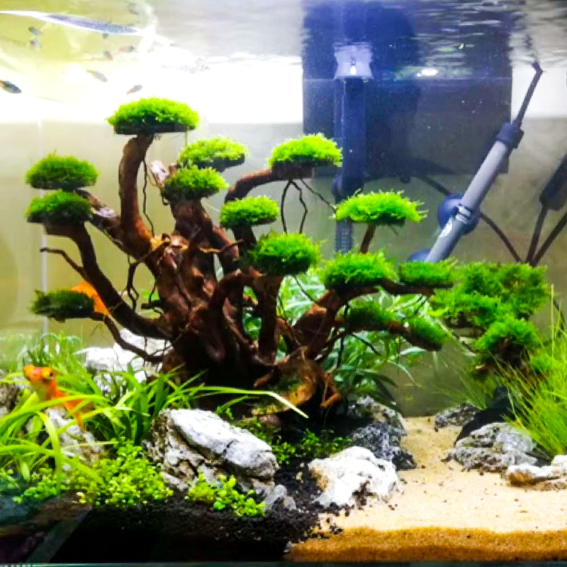 Aquarium Landscaping Moss Tree - огляд і ціна Aquarium Driftwood